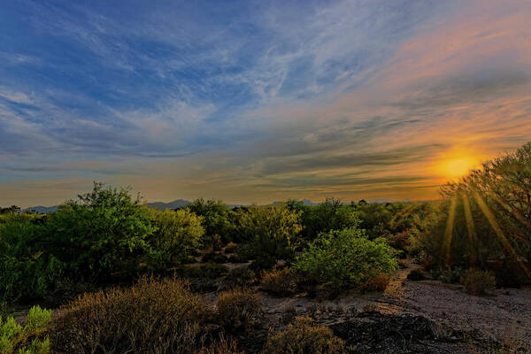 Arizona Poster featuring the photograph Oro Valley Sunset h21 by Mark Myhaver