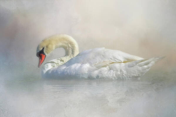 Mute Swan Poster featuring the photograph Out Of The Mist by HH Photography of Florida
