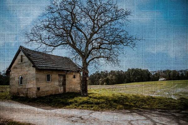 Farm Poster featuring the photograph Out on the Farm by Digital Art Cafe