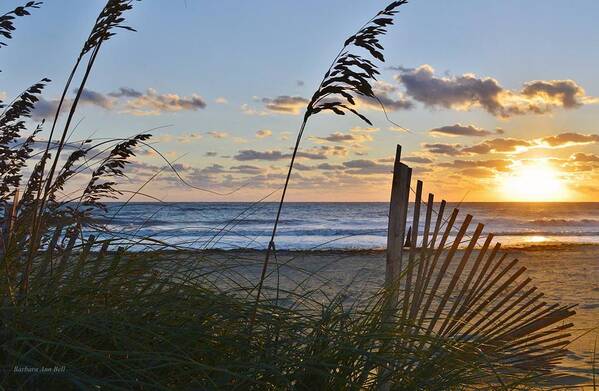 Obx Sunrise Poster featuring the photograph Outer Banks Sunrise by Barbara Ann Bell