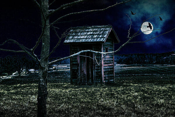 Outhouse Poster featuring the photograph Outhouse in the Moonlight with flying Crows by Randall Nyhof