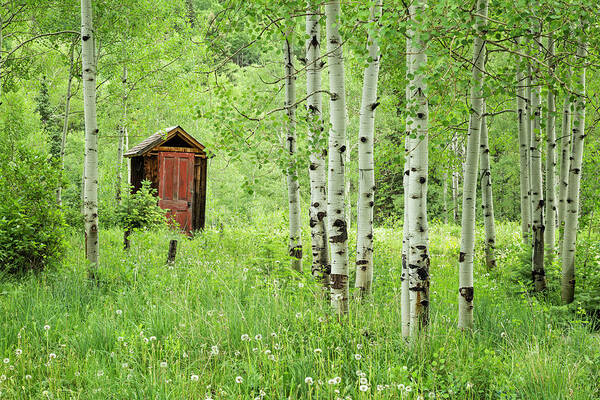 Red Door Poster featuring the photograph Outhouse With Red Door by Denise Bush