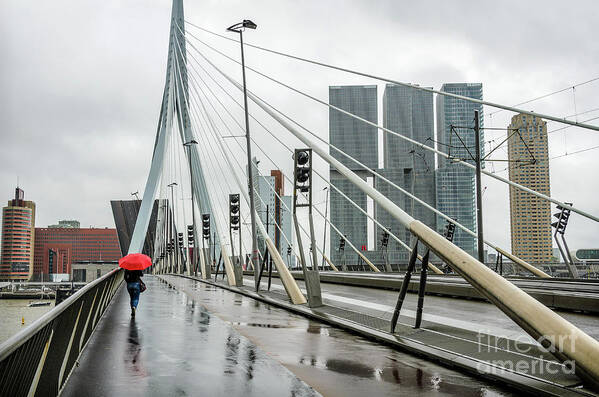 Rotterdam Poster featuring the photograph Over the Erasmus Bridge in Rotterdam with red umbrella by RicardMN Photography