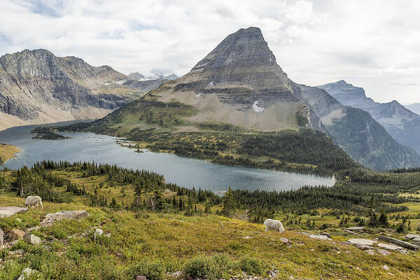 Bearhat Mountain Poster featuring the photograph Overlooking Hidden Lake and BearHat Mountain by Belinda Greb