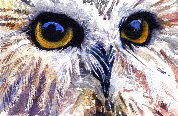 Eye Poster featuring the painting Owl by John D Benson