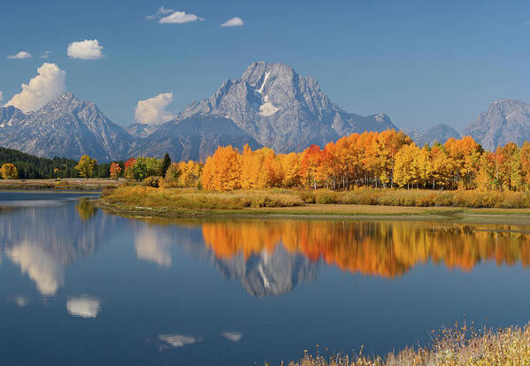 Grand Tetons Poster featuring the photograph Oxbow Bend Reflection by Wesley Aston