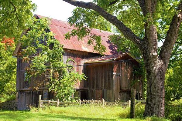 Barn Poster featuring the photograph 0036 - Oxford Red II by Sheryl L Sutter