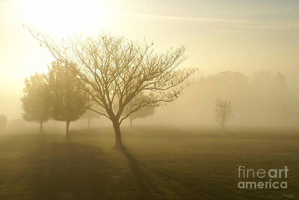 Fog Poster featuring the photograph Ozarks Misty Golden Morning Sunrise by Jennifer White