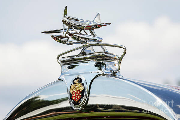 Packard Poster featuring the photograph Packard Plane by Dennis Hedberg