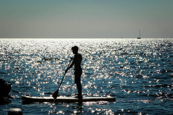 Paddleboarder Poster featuring the photograph Paddleboarder by Aashish Vaidya