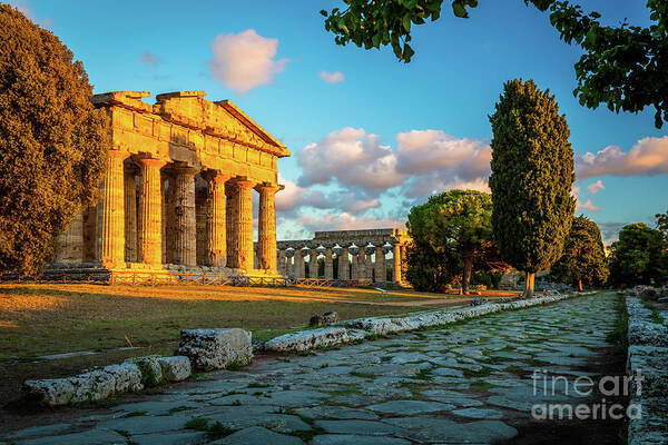 Campagnia Poster featuring the photograph Paestum Road by Inge Johnsson