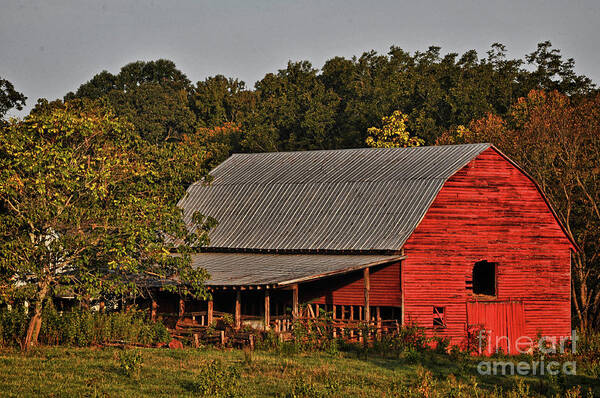 Barn Poster featuring the photograph Paint it Red by Randy Rogers