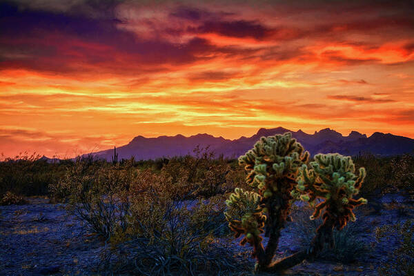 Sunset Poster featuring the photograph Paint the Desert Skies With Color  by Saija Lehtonen