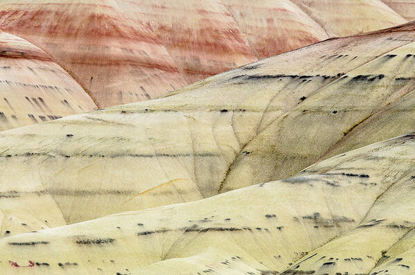 Painted Hills Poster featuring the photograph Painted HIlls Ridge by Greg Nyquist