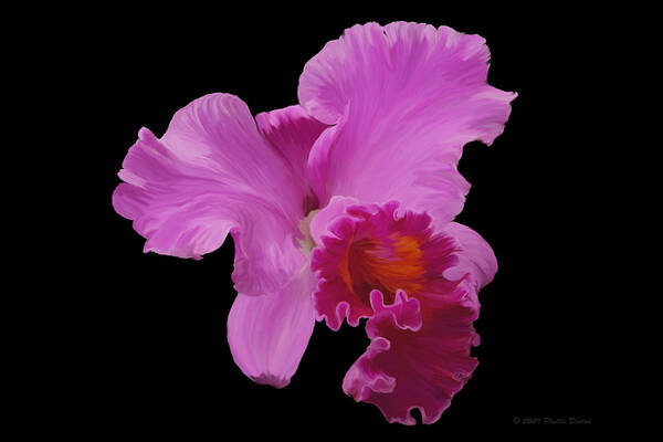 Orchid Poster featuring the photograph Painted Orchid by Phyllis Denton