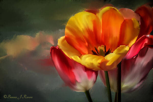 Tulips Poster featuring the photograph Painted Tulips by Bonnie Rovere