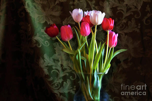 Tulips Poster featuring the photograph Painted Tulips by Joan Bertucci
