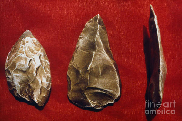 Ancient Poster featuring the photograph Paleolithic Tools by Granger