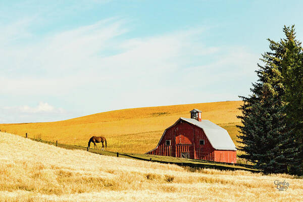 Landscapes Poster featuring the photograph Palouse 16 by Claude Dalley