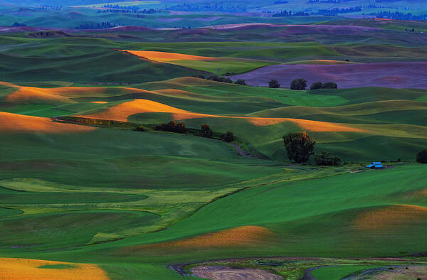Plowing Poster featuring the photograph Palouse Sunset from Steptoe Butte State Park by Roberta Kayne