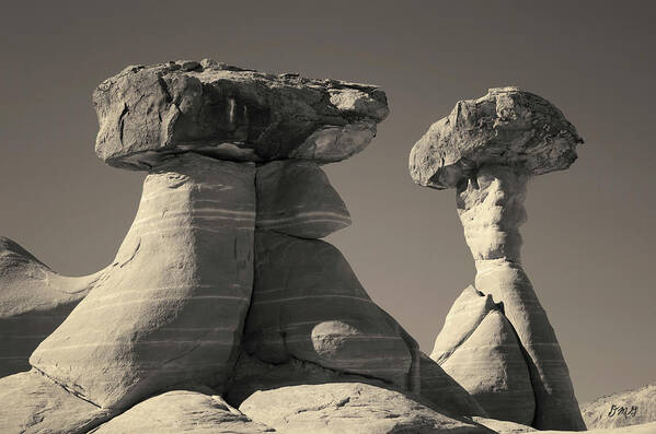 Black Poster featuring the photograph Paria Utah XIII Toned by David Gordon