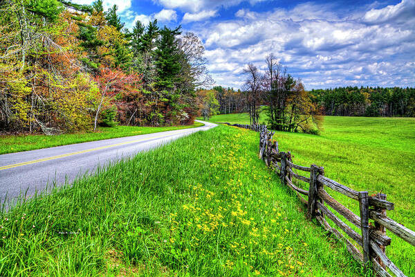 Blue Ridge Parkway Poster featuring the photograph Parkway Spring by Dale R Carlson