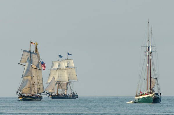 2016 Tall Ships Poster featuring the photograph Passing Ships by Stewart Helberg