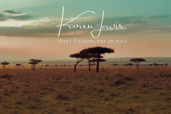 Masai Mara Poster featuring the photograph Pastel Dawn on the Mara by Karen Lewis