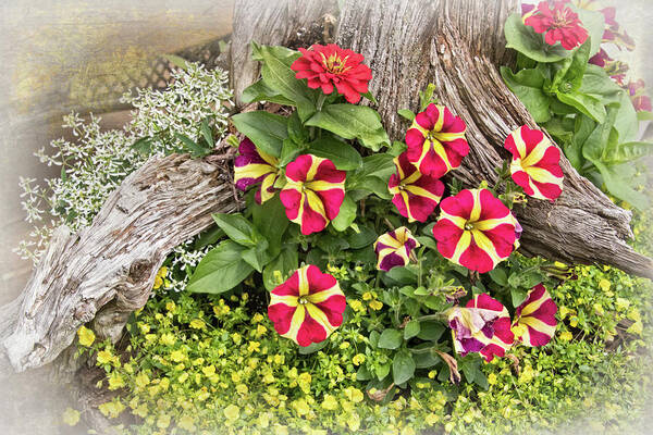 Patio Container Garden Poster featuring the photograph Patio Container Garden by Carolyn Derstine