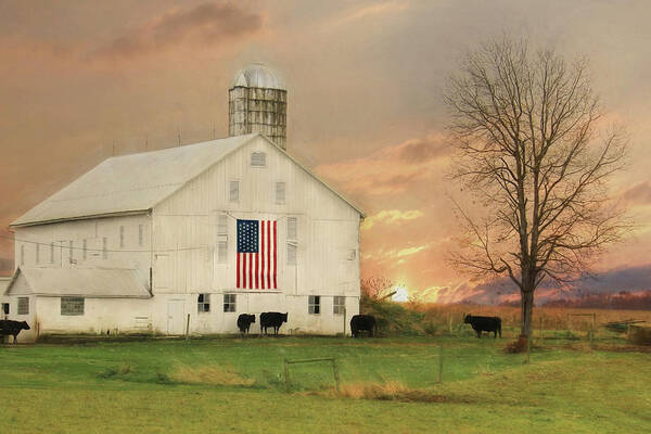 Barn Poster featuring the photograph Patriotic Cattle Farm by Lori Deiter