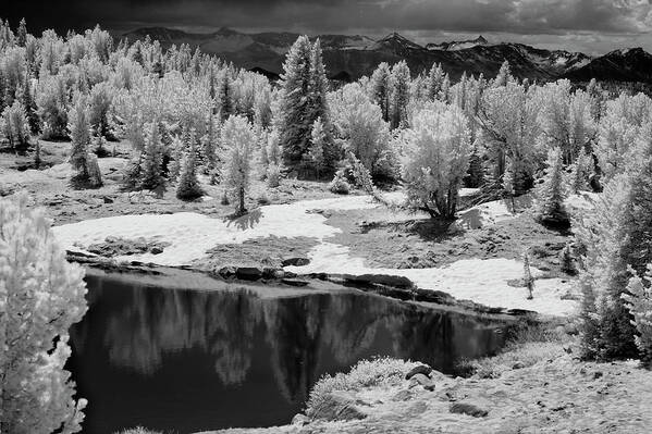 Infrared Poster featuring the photograph Peaceful IR by Brian N Duram