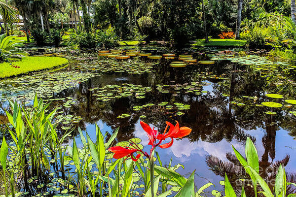 Liesl Walsh Poster featuring the photograph Peaceful Pond, Painting Effect by Liesl Walsh