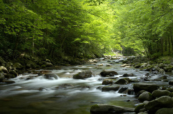 Waterfall Poster featuring the photograph Peaceful River at Great Smoky Mountains by Darrell Young