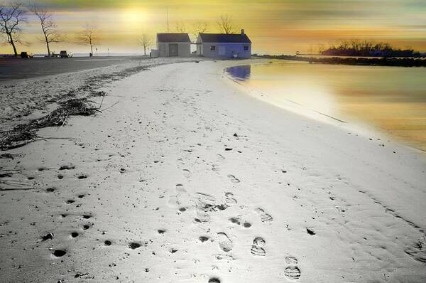 Sunset Poster featuring the photograph Pear Tree Footsteps by Diana Angstadt