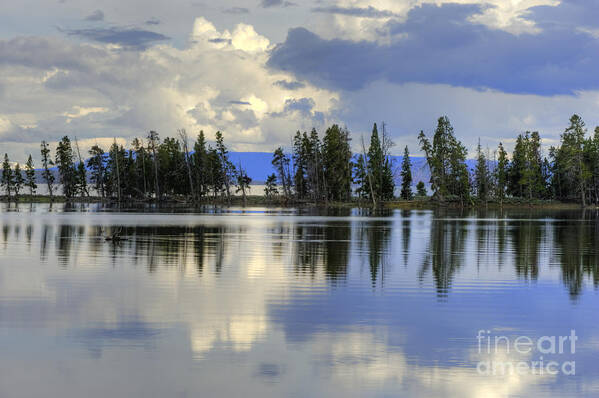 Yellowstone Poster featuring the photograph Pelican Bay Morning by Sandra Bronstein