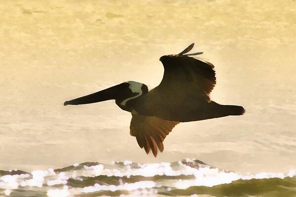 Birds Poster featuring the photograph Pelican Patrol by Jim Proctor