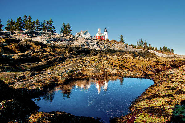 Pemaquid Lighthouse Poster featuring the photograph Pemaquid Reflection by Greg Fortier