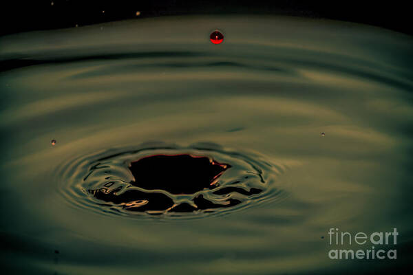 Interiors Poster featuring the photograph Perfect water drop by Claudia M Photography