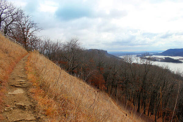 Nature Poster featuring the photograph Perrot State Park Mississippi River 5 by Brook Burling