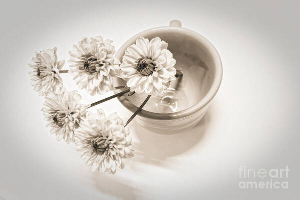 Cup Poster featuring the photograph Petit Bouquet by Onedayoneimage Photography