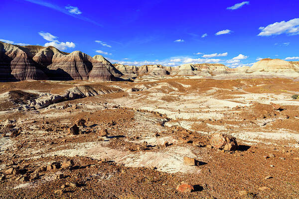 Arizona Poster featuring the photograph Petrified Forest III by Raul Rodriguez