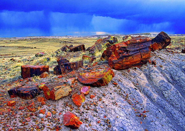 Usa Poster featuring the photograph Petrified Forest National Park by Gary Corbett