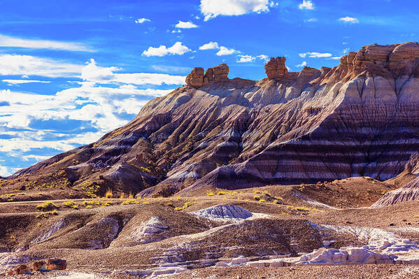 Arizona Poster featuring the photograph Petrified Forest V by Raul Rodriguez