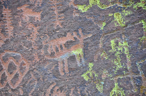 Petroglyph Poster featuring the photograph Petroglyph Wolf Attack by David Arment