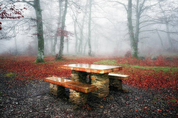Picnic Poster featuring the photograph Picnic of fog by Mikel Martinez de Osaba