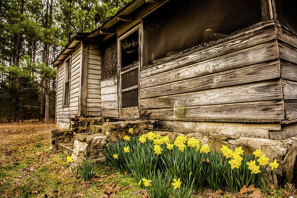 Home Place Poster featuring the photograph Pieces Of Home by Cynthia Wolfe