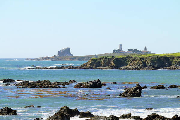 Lighthouses Poster featuring the photograph Piedras Blancas Lighthouse by Art Block Collections