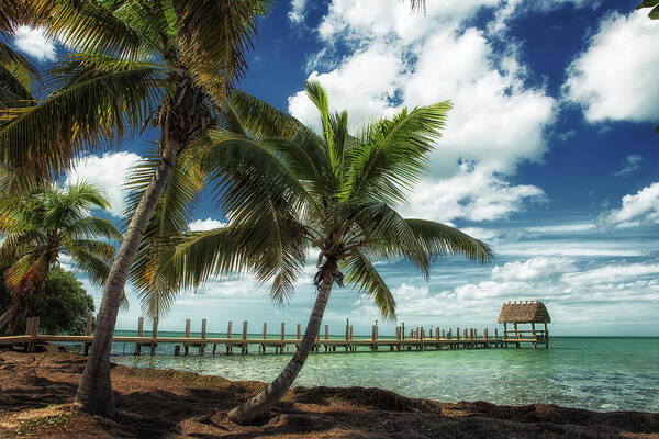 Pigeon Key Poster featuring the photograph Pigeon Key Dock by Randall Evans