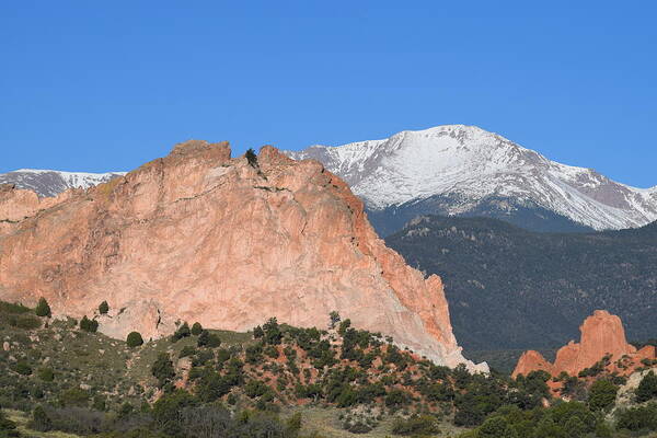 Garden Of The Gods Poster featuring the photograph Pikes Peak - Garden of the Gods COS by Margarethe Binkley