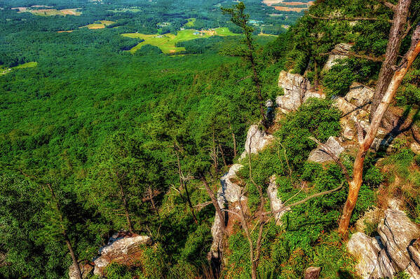 Frank J Benz Poster featuring the photograph Pilot Mountain North Carolina Scenic View - mountainvalleyviewLAB185847 by Frank J Benz